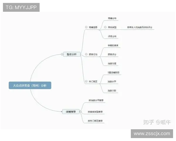 杭州排球队在世界杯预选赛中的团队协作表现分析与点评